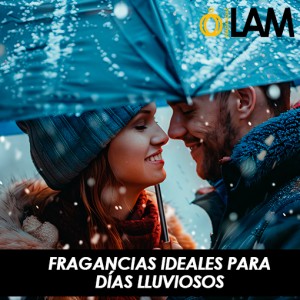 Fragancias ideales para días lluviosos: aromas que reconfortan el alma