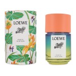 Loewe Paula´S Ibiza Eclectic 100 ml Edt Unisex